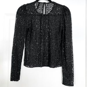 Zara Trafaluc Lace Top - Small